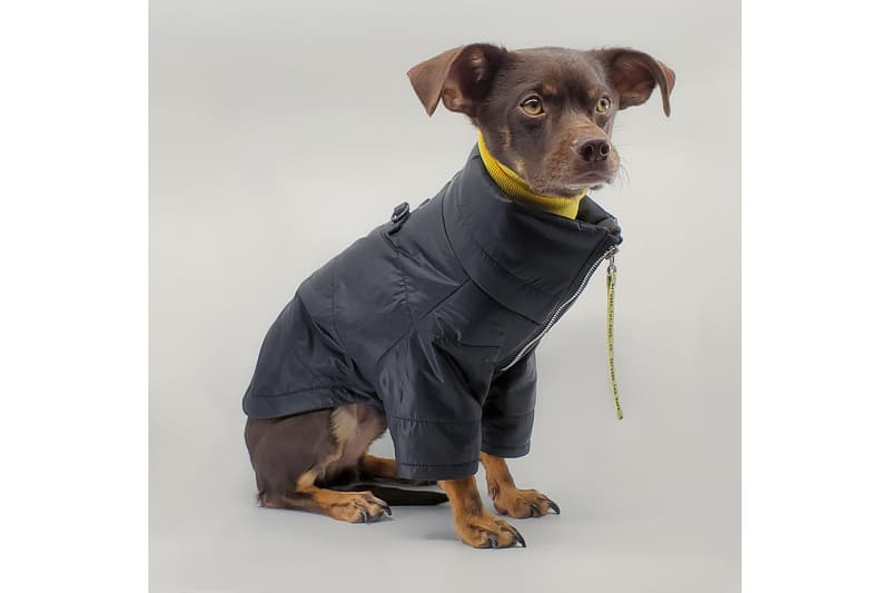 Between Two Naps Dog Wear Clothing Pet Brand Helmut Accessories Sleepover XL Rajeev Basu