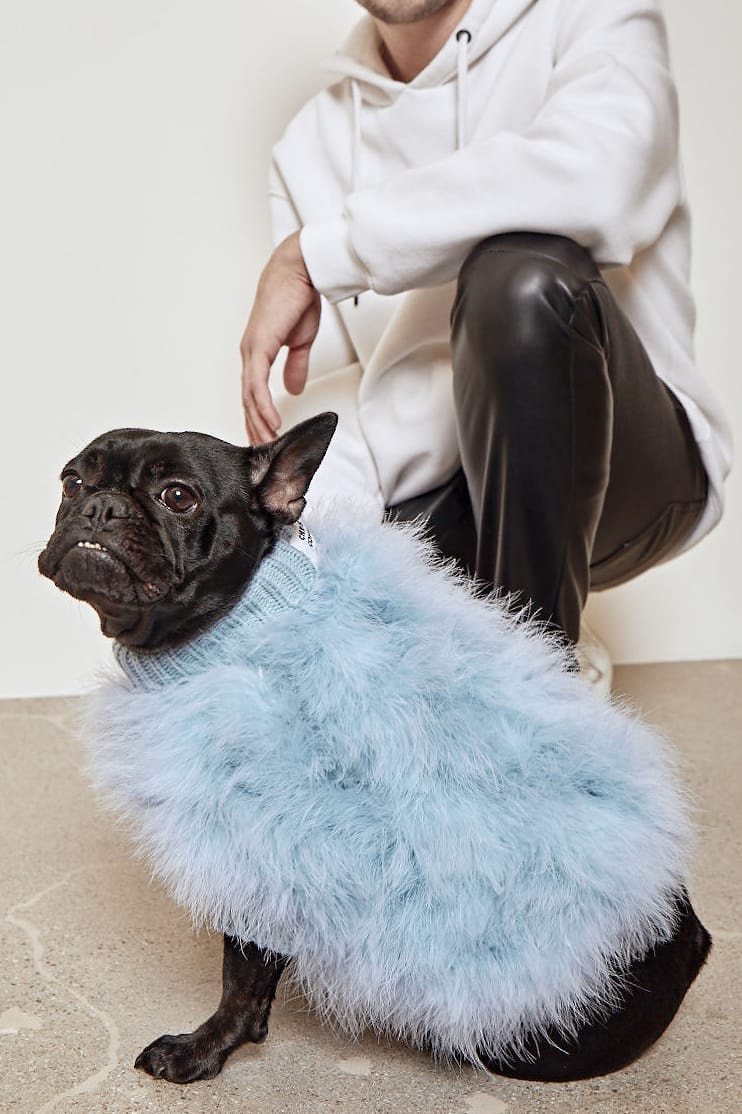 dog fur sweater