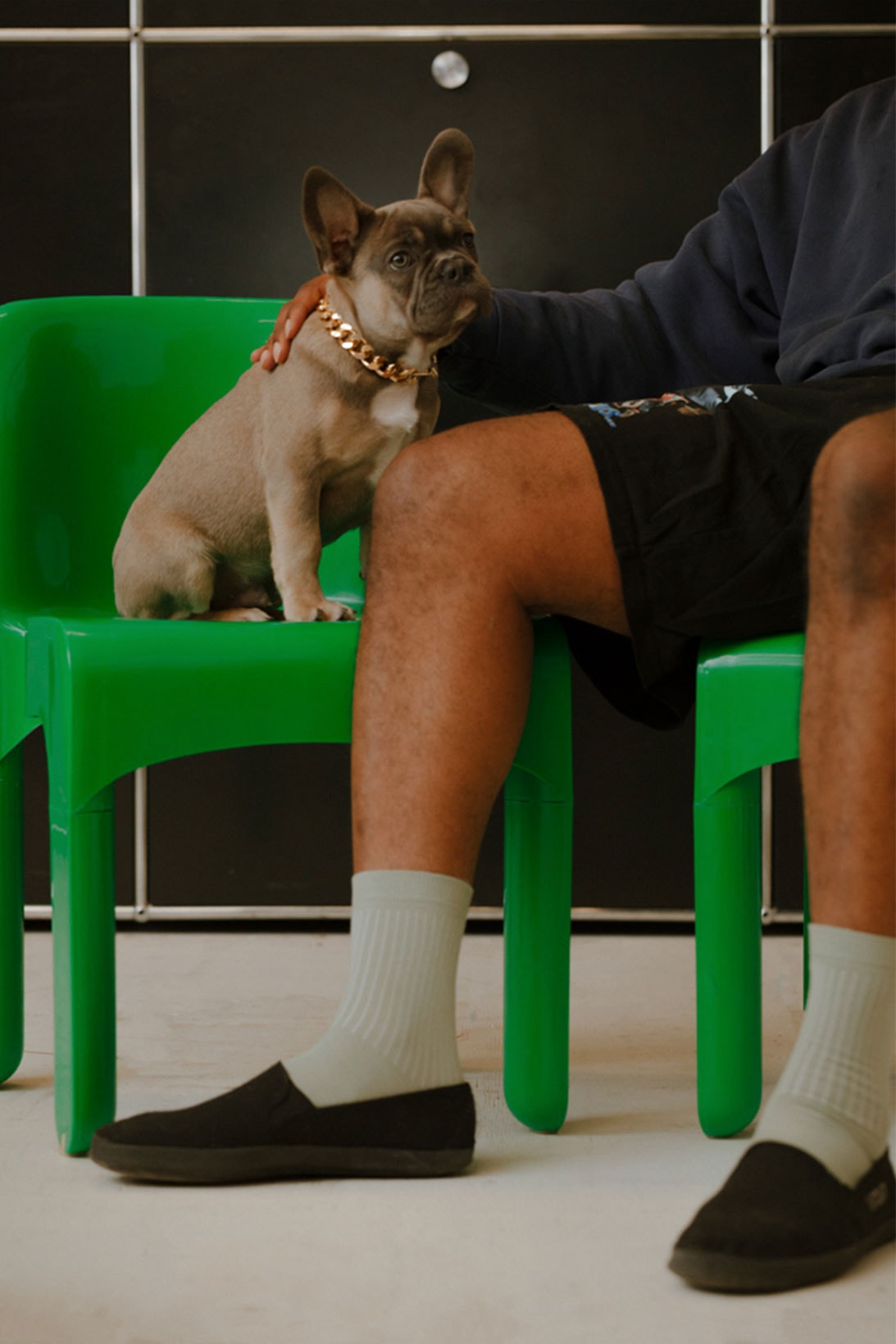 comme si lichen collaboration lookbook campaign hassan rahim dog puppy