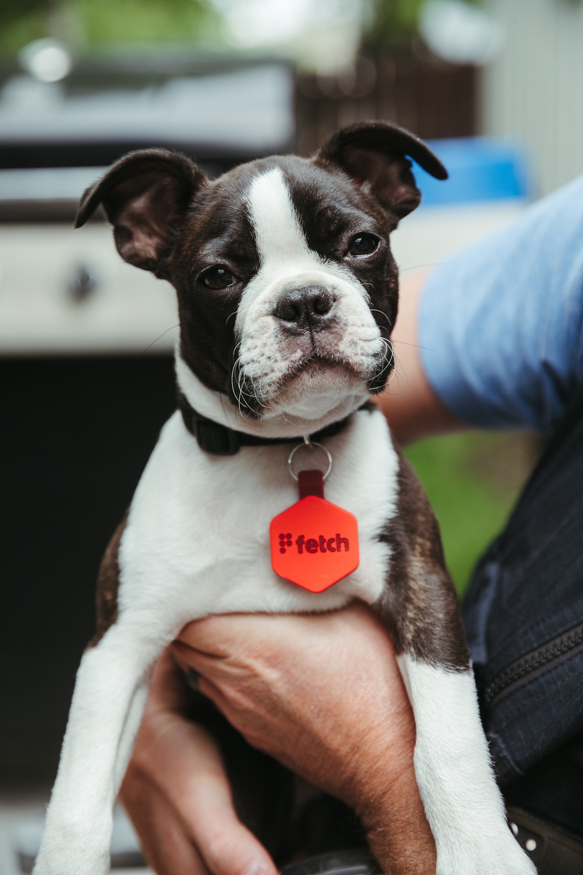 Fetch Dog Pet Tracker GPS ID Tag