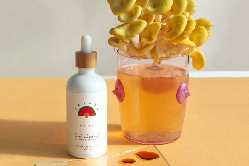 What Happens When You Add Medicinal Mushrooms Into Your Daily Routine for a Month? This Editor Finds Out