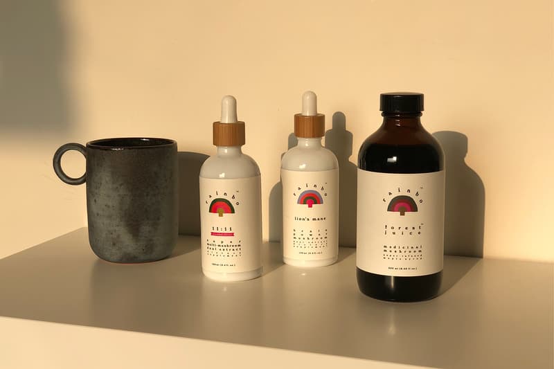 medicinal mushrooms rainbo founder interview holistic nutrition healthcare wellness