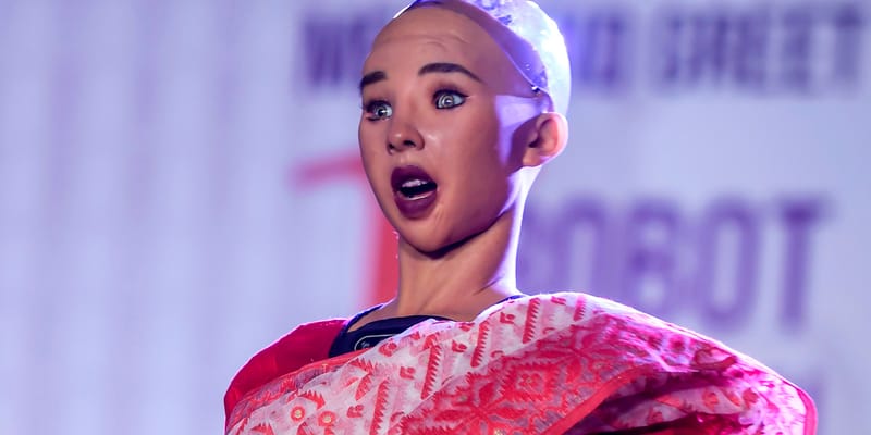 sophia hanson robot