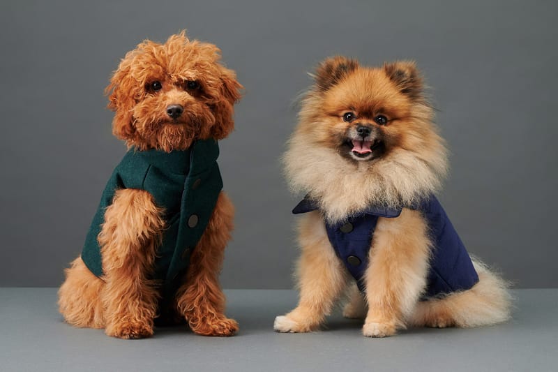 Keep Your Dog Warm This Winter With The Barkers' New Duke Puffer Vests