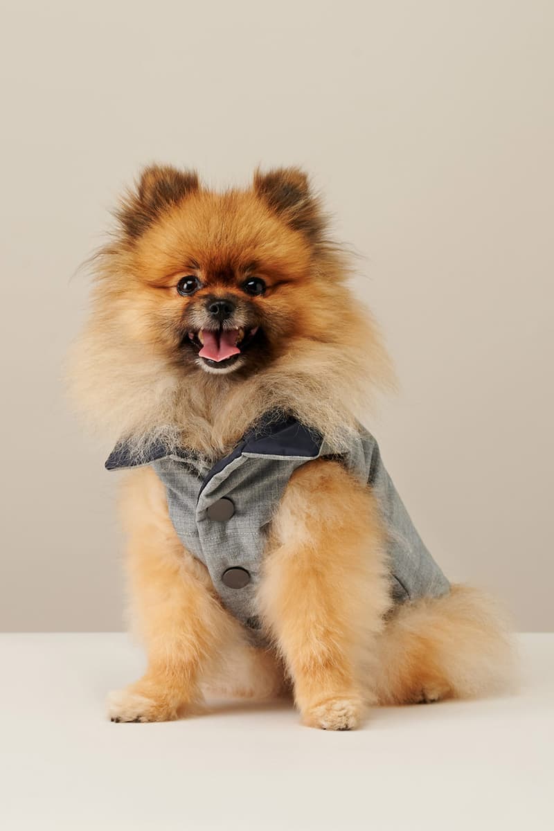 the barkers dog clothing accessories brand duke puffer vest gray