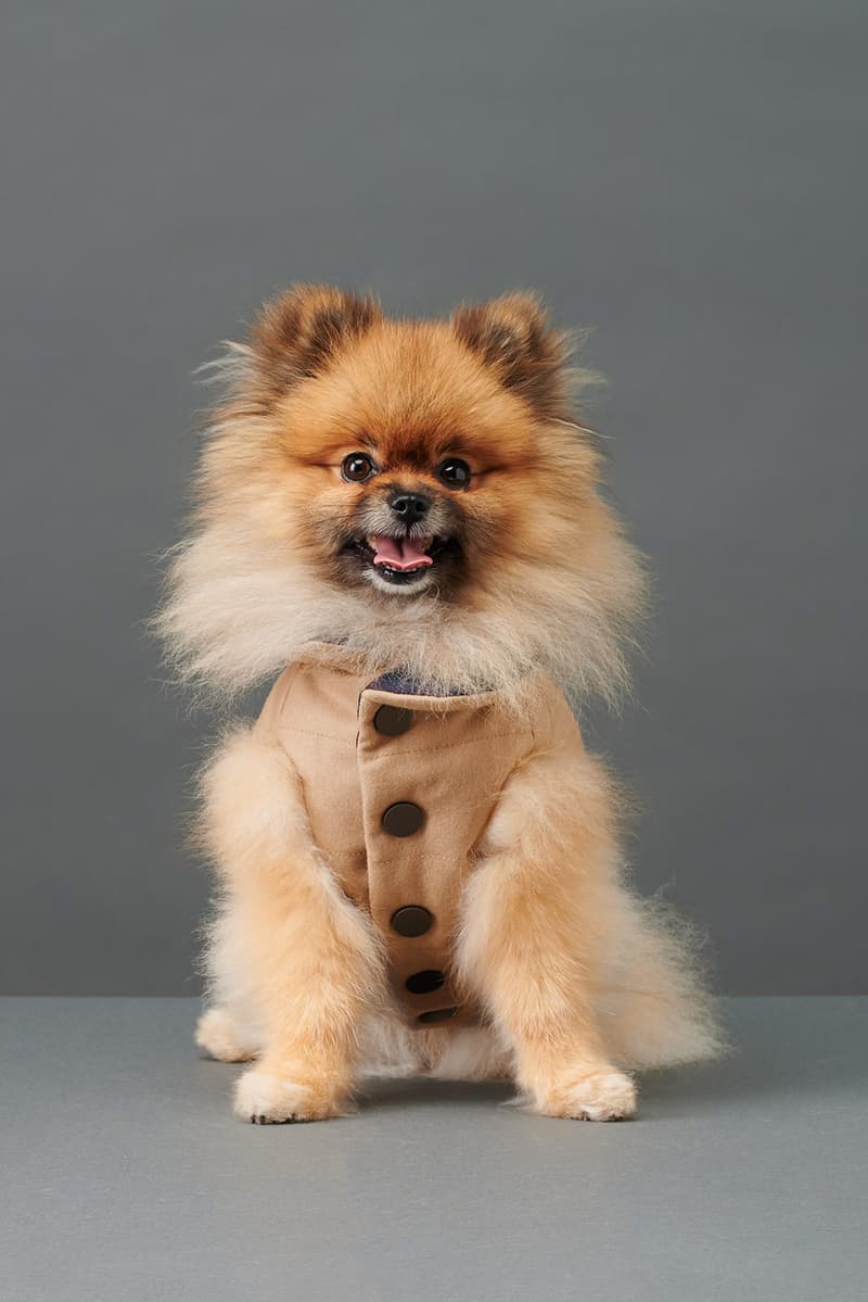 the barkers dog clothing accessories brand duke puffer vest beige