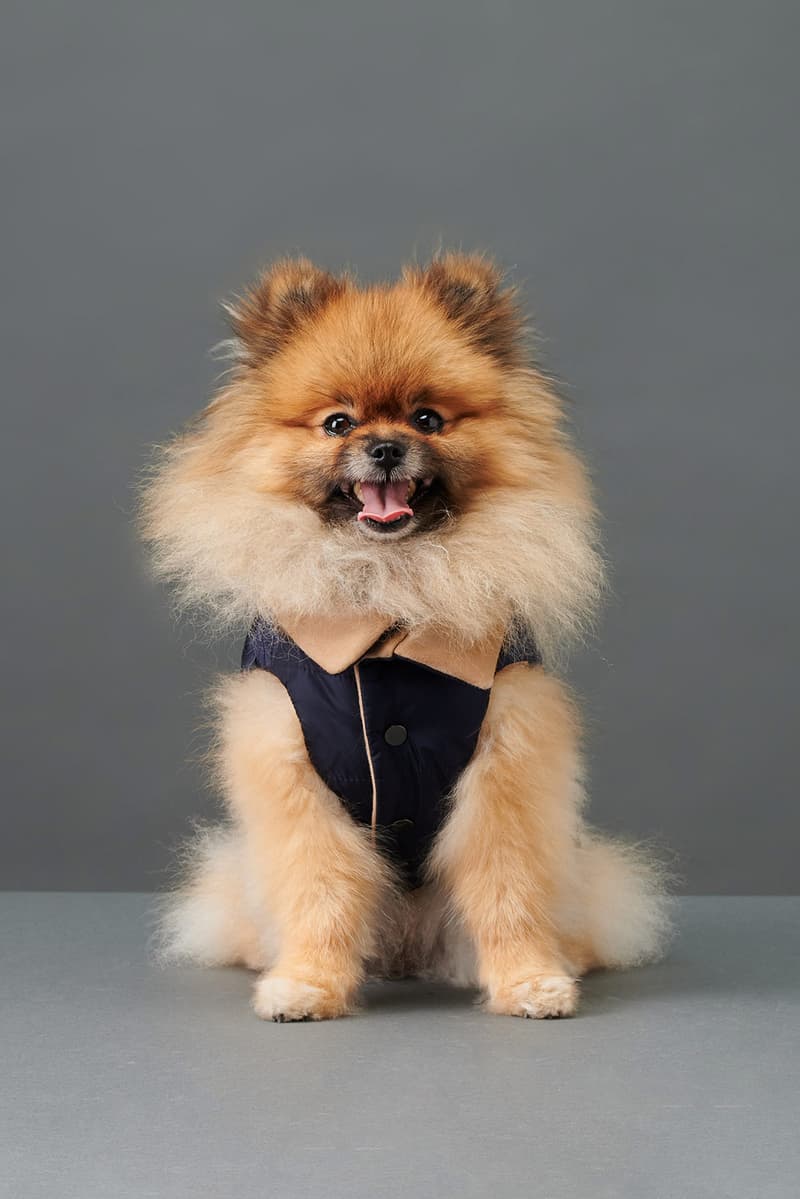 the barkers dog clothing accessories brand duke puffer vest navy blue beige