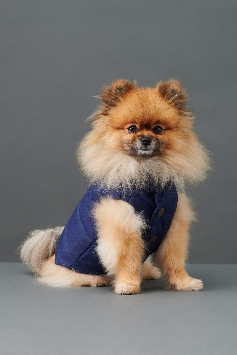 the barkers dog clothing accessories brand duke puffer vest navy blue