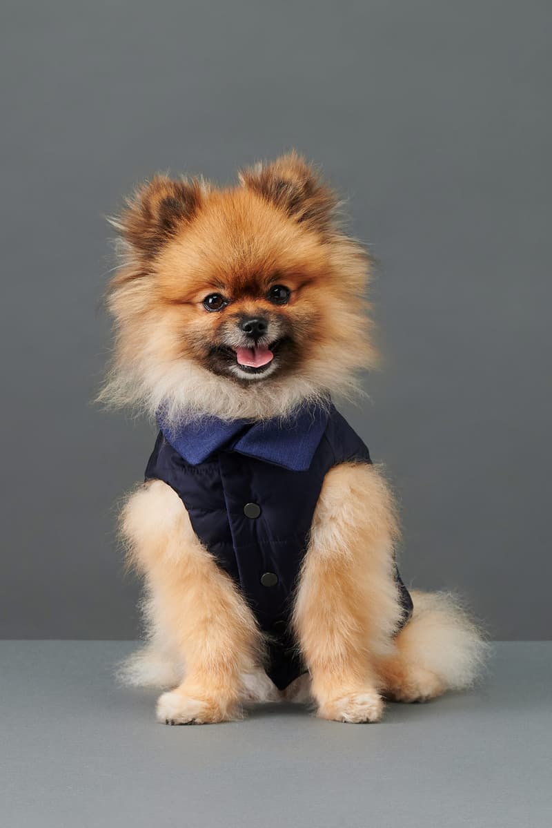 the barkers dog clothing accessories brand duke puffer vest navy blue