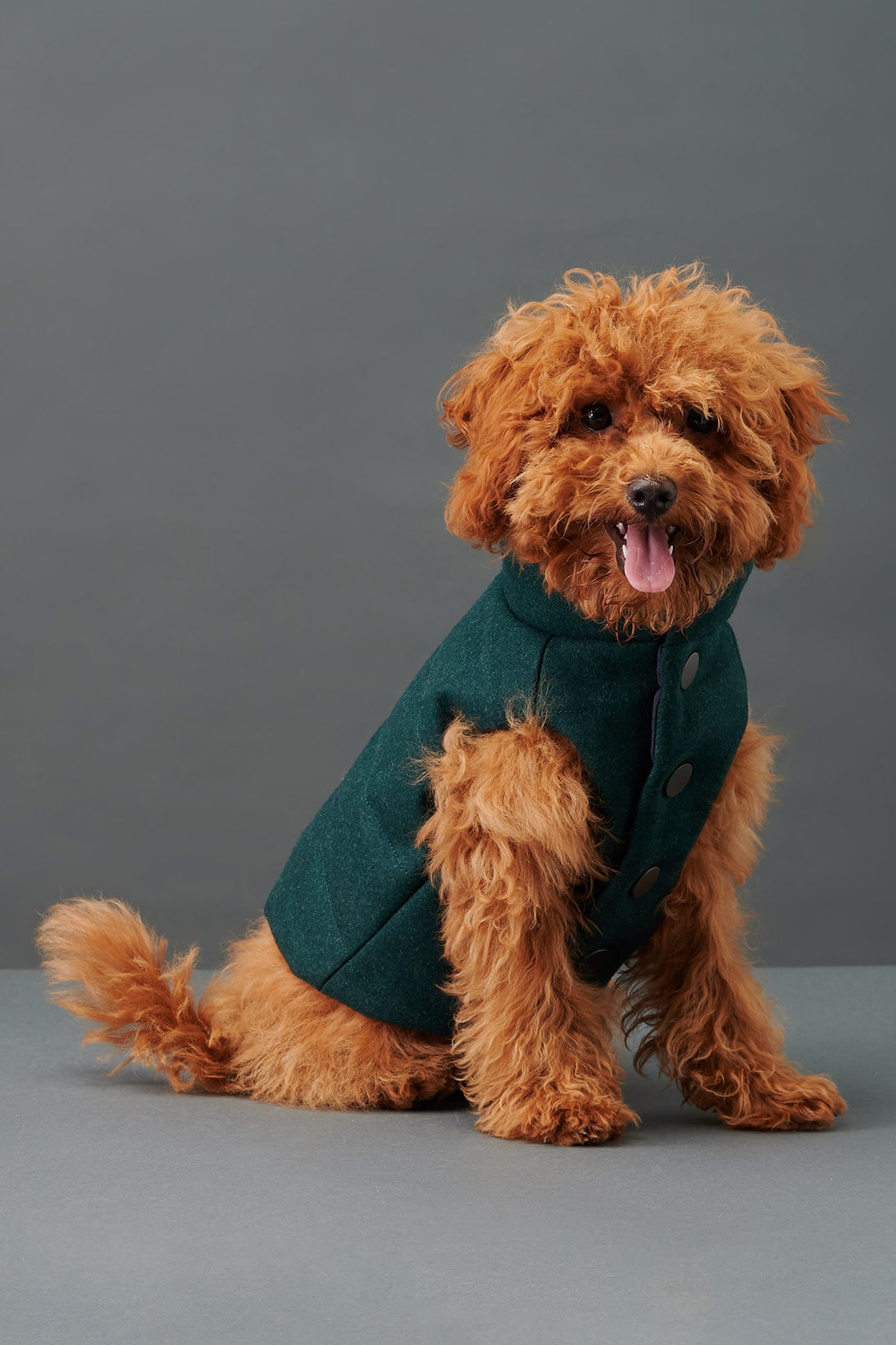 the barkers dog clothing accessories brand duke puffer vest emerald green side view