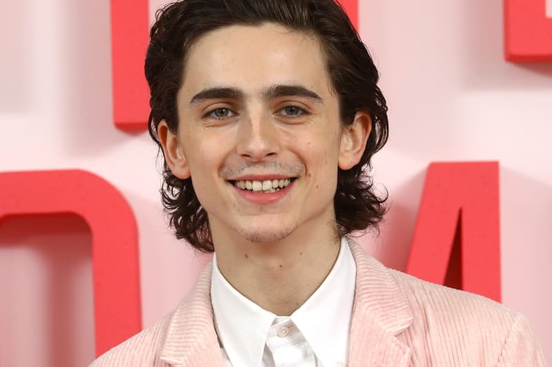 Timothee Chalamet Little Women Movie Premiere Red Carpet