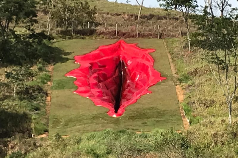 Giant Vulva Sculpture Causes Outrage in Brazil