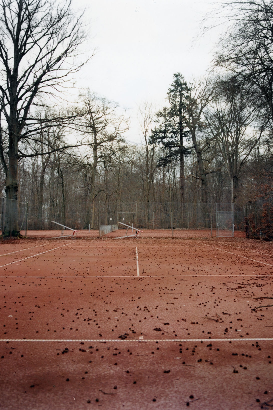 tennis court sand woods trees