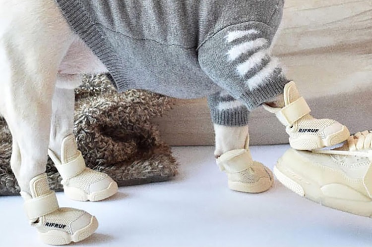 RIFRUF's Dog Sneakers Are Absolute Paw-Fection