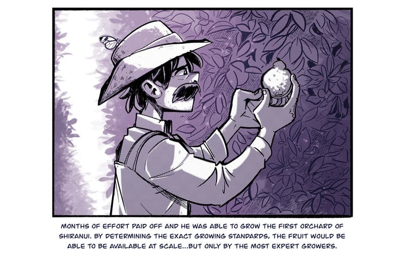 sumo citrus history manga inspired series chris metzner