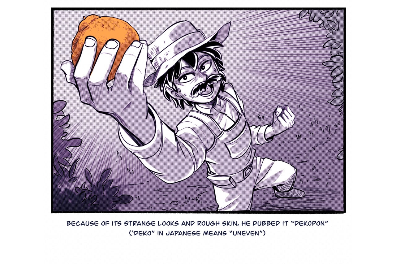 sumo citrus history manga inspired series chris metzner