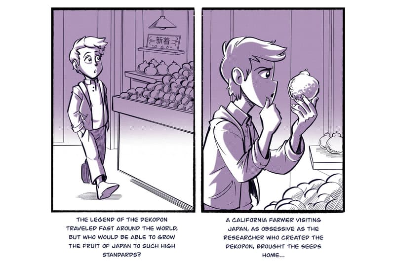 sumo citrus history manga inspired series chris metzner