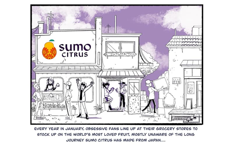 sumo citrus history manga inspired series chris metzner