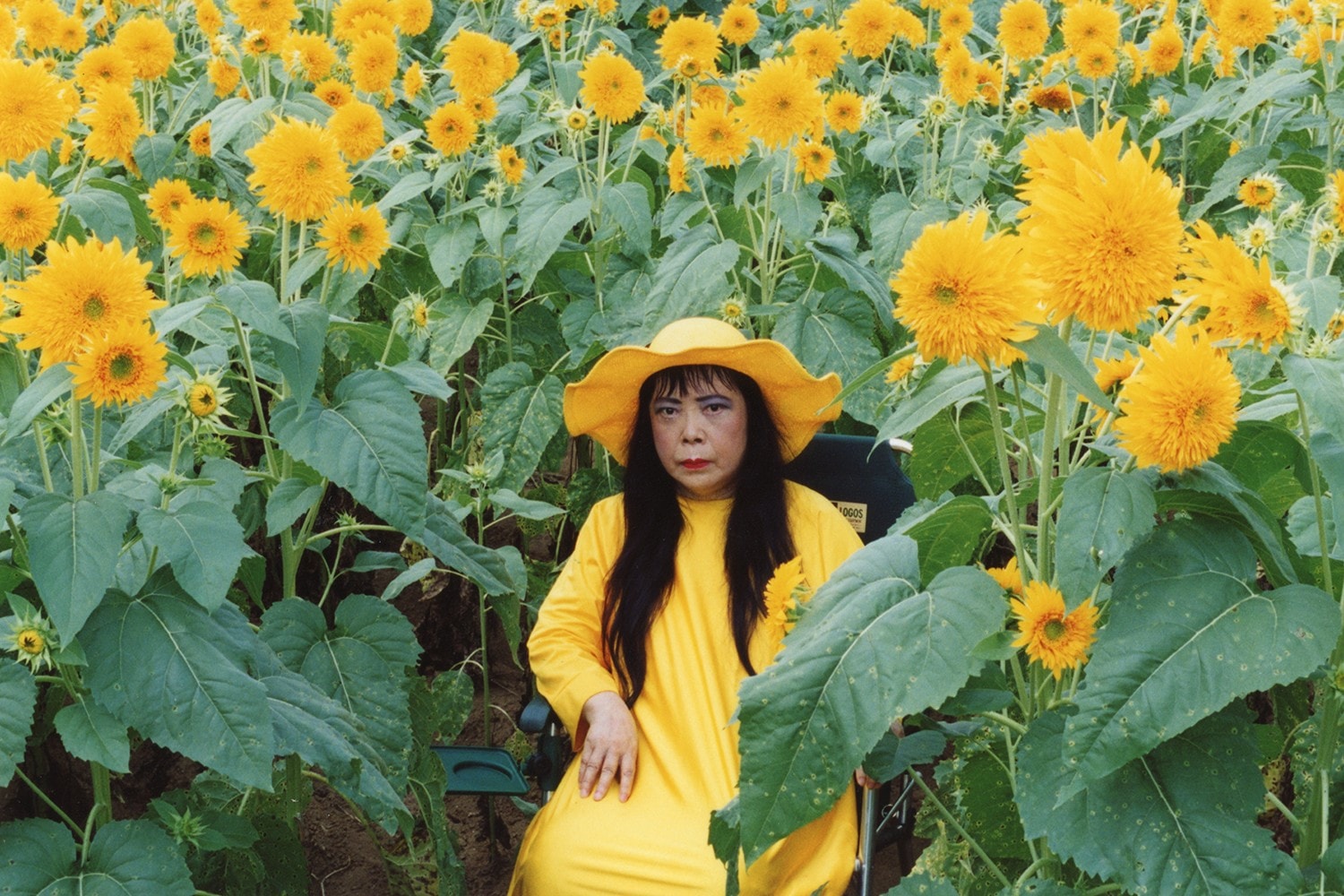yayoi kusama new york botanical garden exhibition 2021 schedule sunflowers yellow