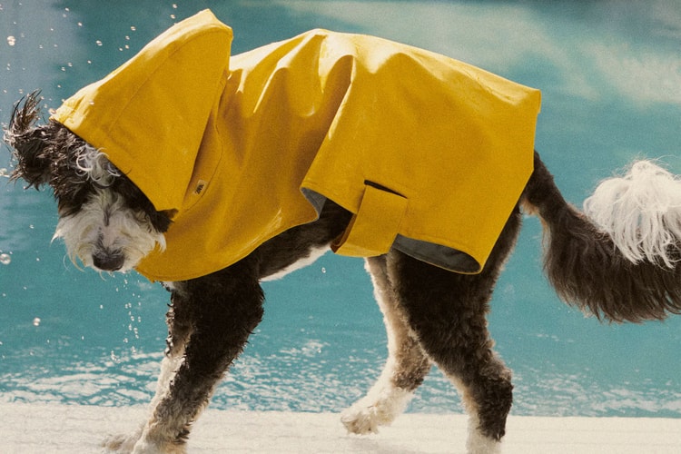 You Can Now Shop Clothes and Accessories for Your Pet at Zara