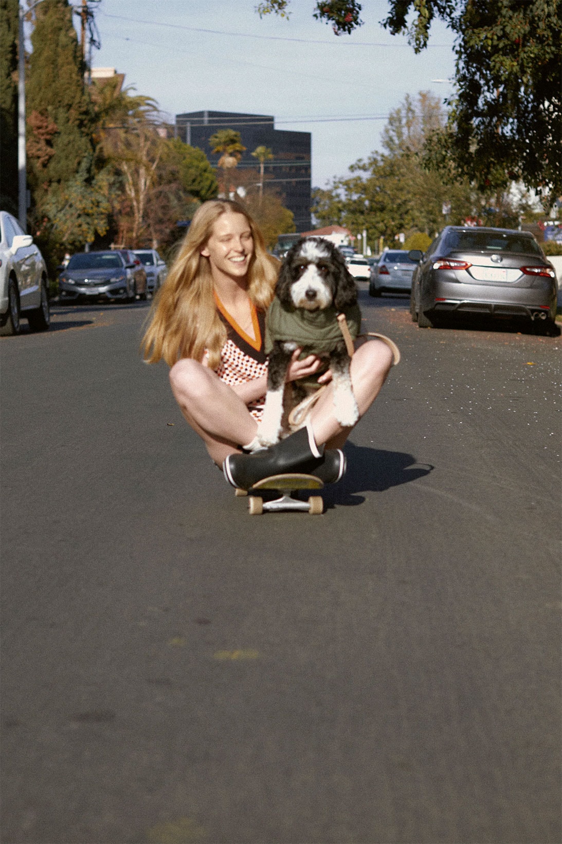 zara pets dogs collection coat skateboard