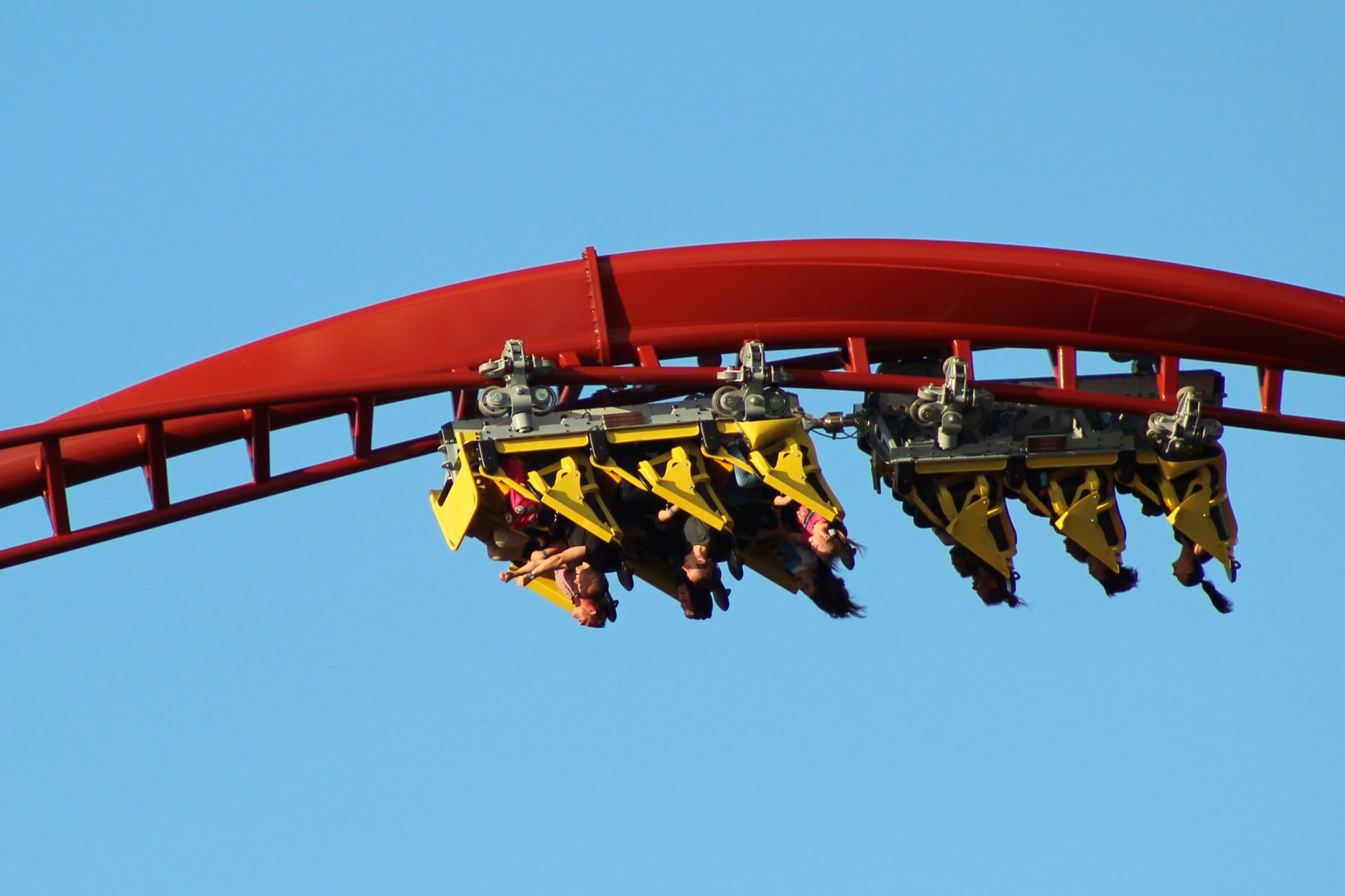 Roller Coaster Theme Amusement Park Riders