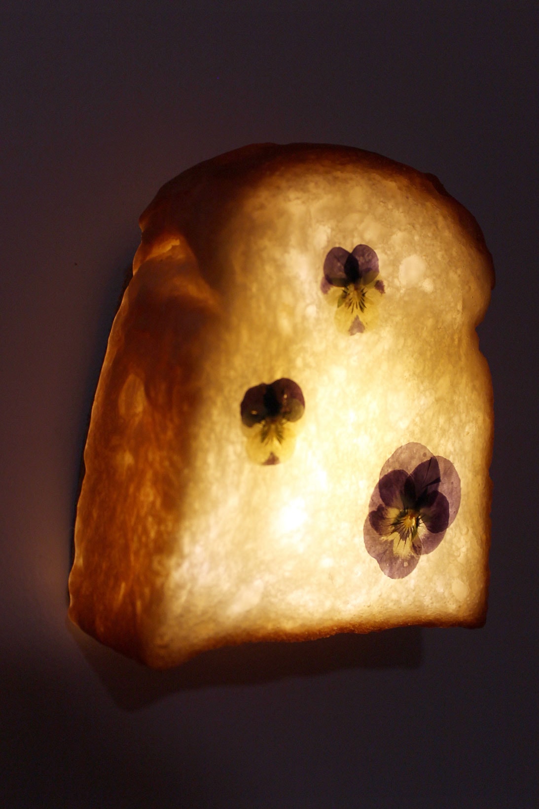 dauphinette pampshade ss21 spring summer bread led lamps floral loaf dark