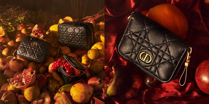 dior caro double pouch