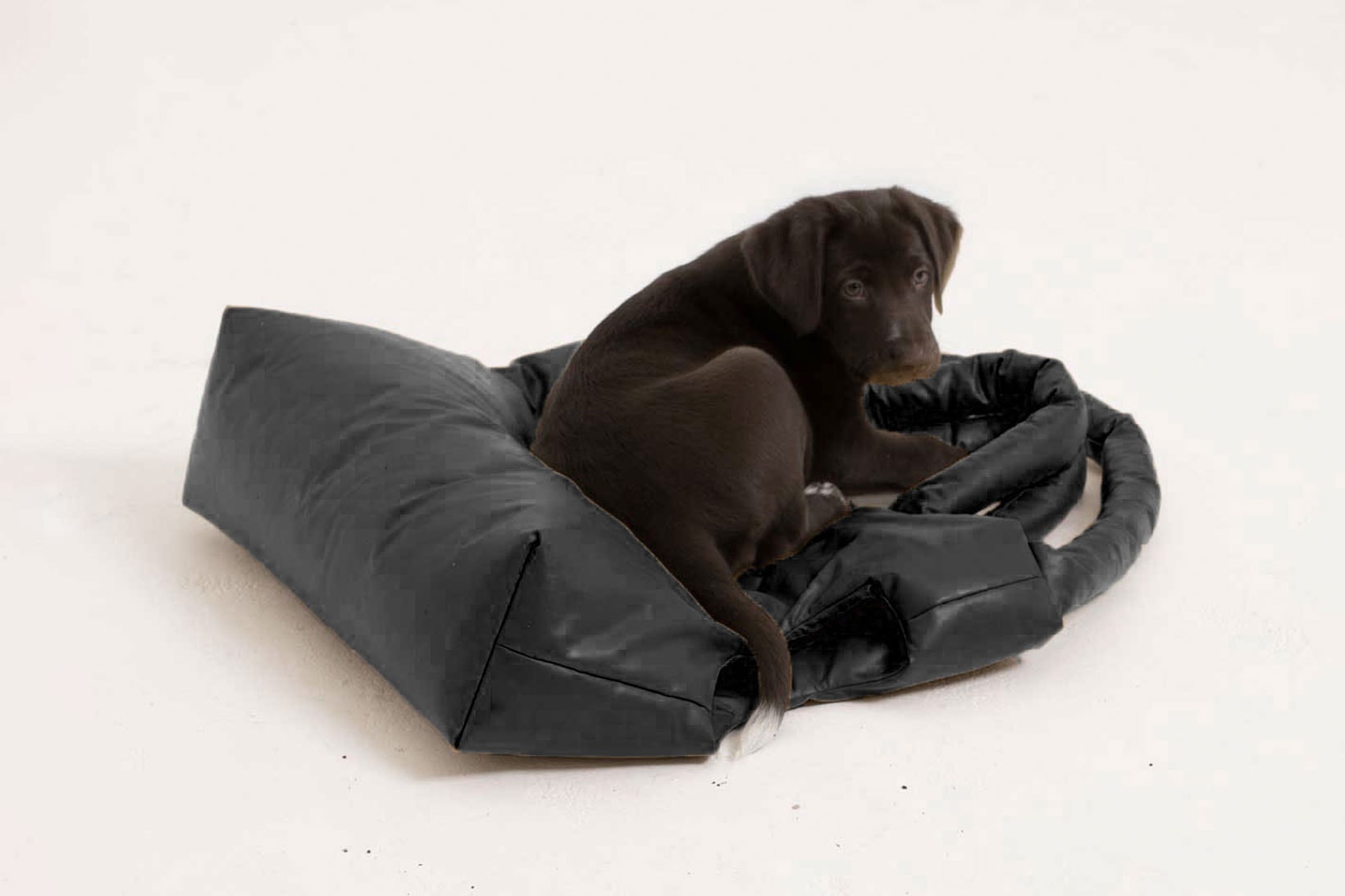 kassl editions dog handbag pet accessories black puppy