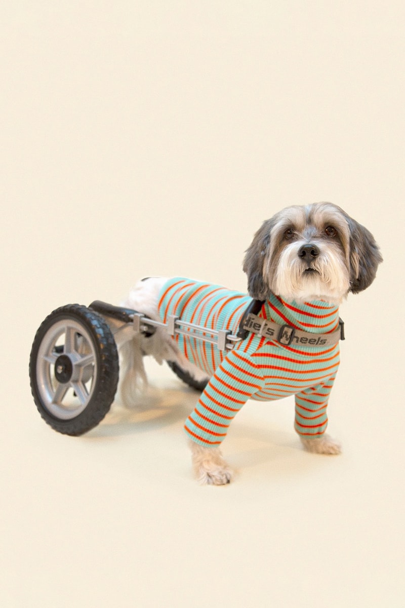 Little Beast Dog Clothing Cloud Sweater