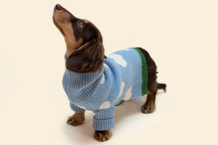 Dogwear Brand Little Beast Launches Spring Styles