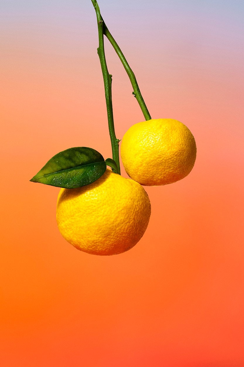 Citrus Tangerines Oranges Fruits