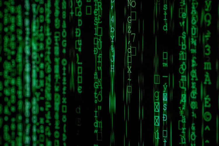 NFTs: A Guide to the Trending Blockchain Technology