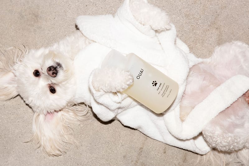 OUAI's New Pet Shampoo Will Leave Your Fur Baby Fresh and Soft All Day Long