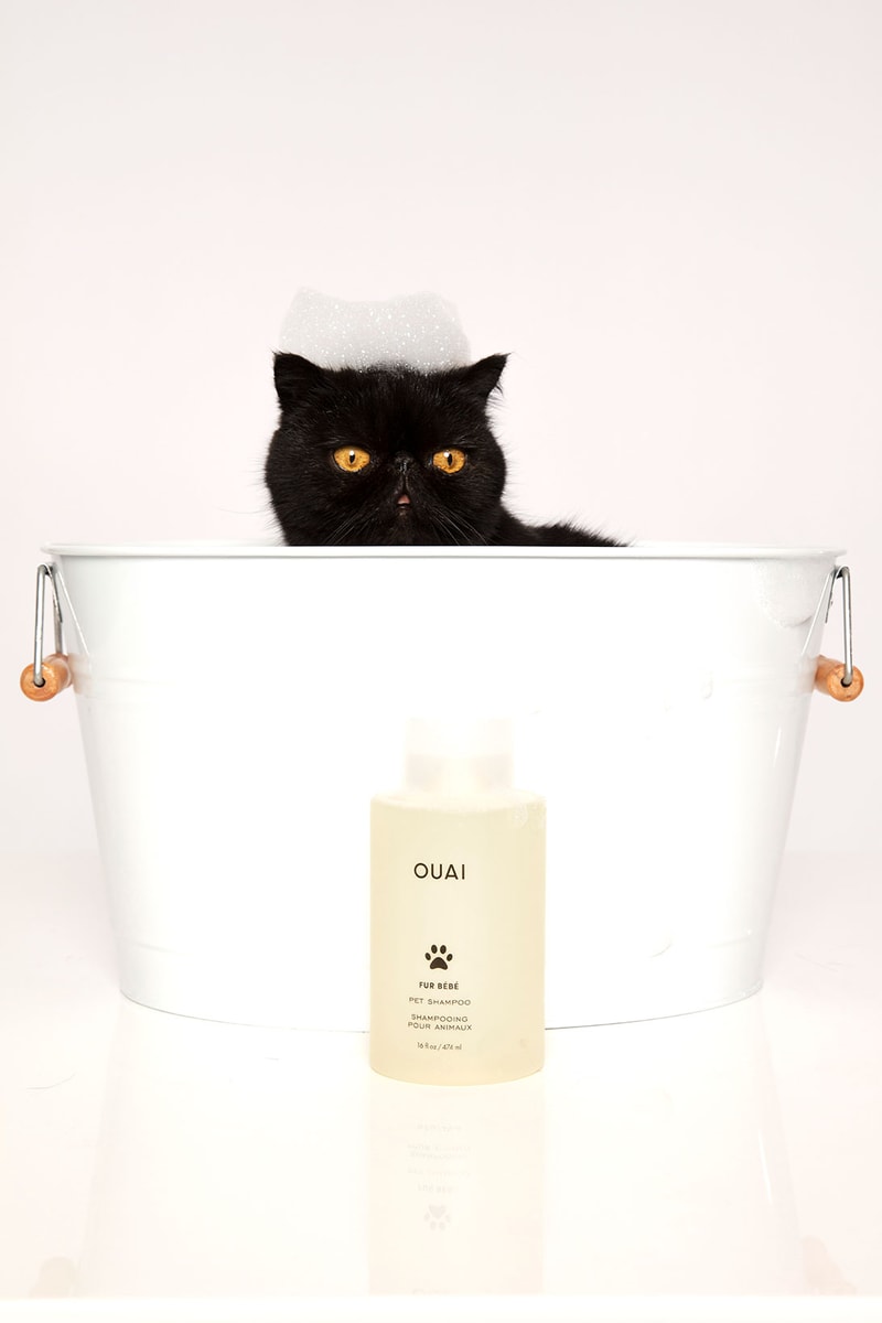 ouai fur bebe pet shampoo cats sustainable