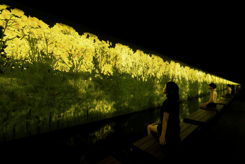 teamlab digital art rinkan sauna tiktok reconnect immersive installation flowers