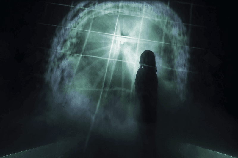 teamlab digital art rinkan sauna tiktok reconnect immersive installation light silhouette