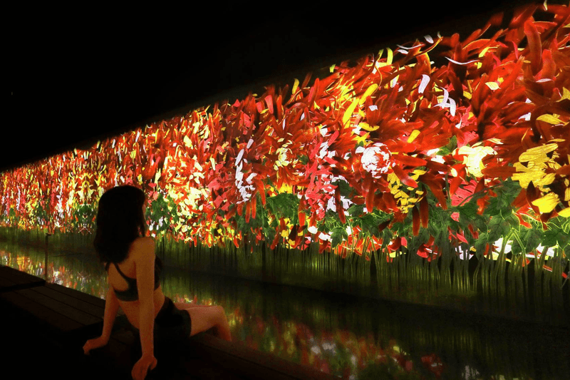 teamlab digital art rinkan sauna tiktok reconnect immersive installation flowers