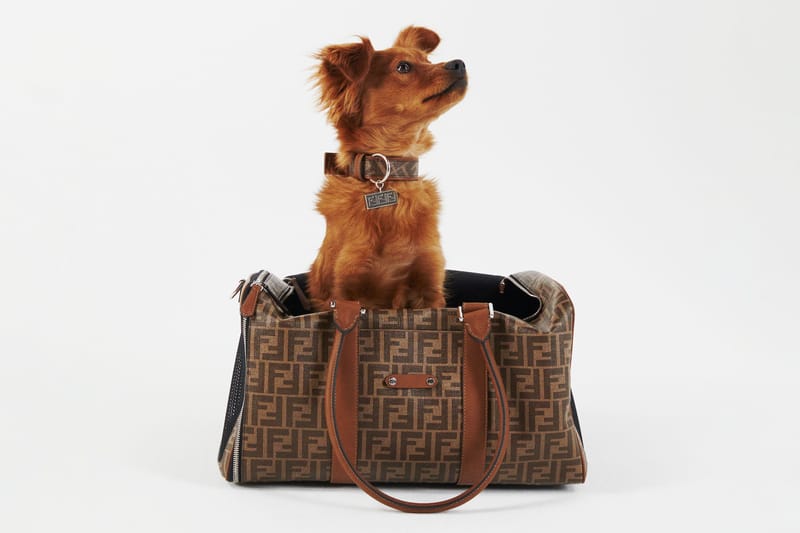 Fendi’s Latest Collection Is for Your Dog