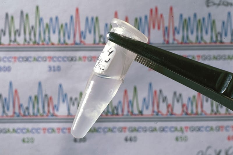 A Social Media Platform That Pairs Genetically-Alike Users Is in the Works