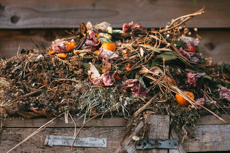 How To Compost at Home for a Sustainable Lifestyle