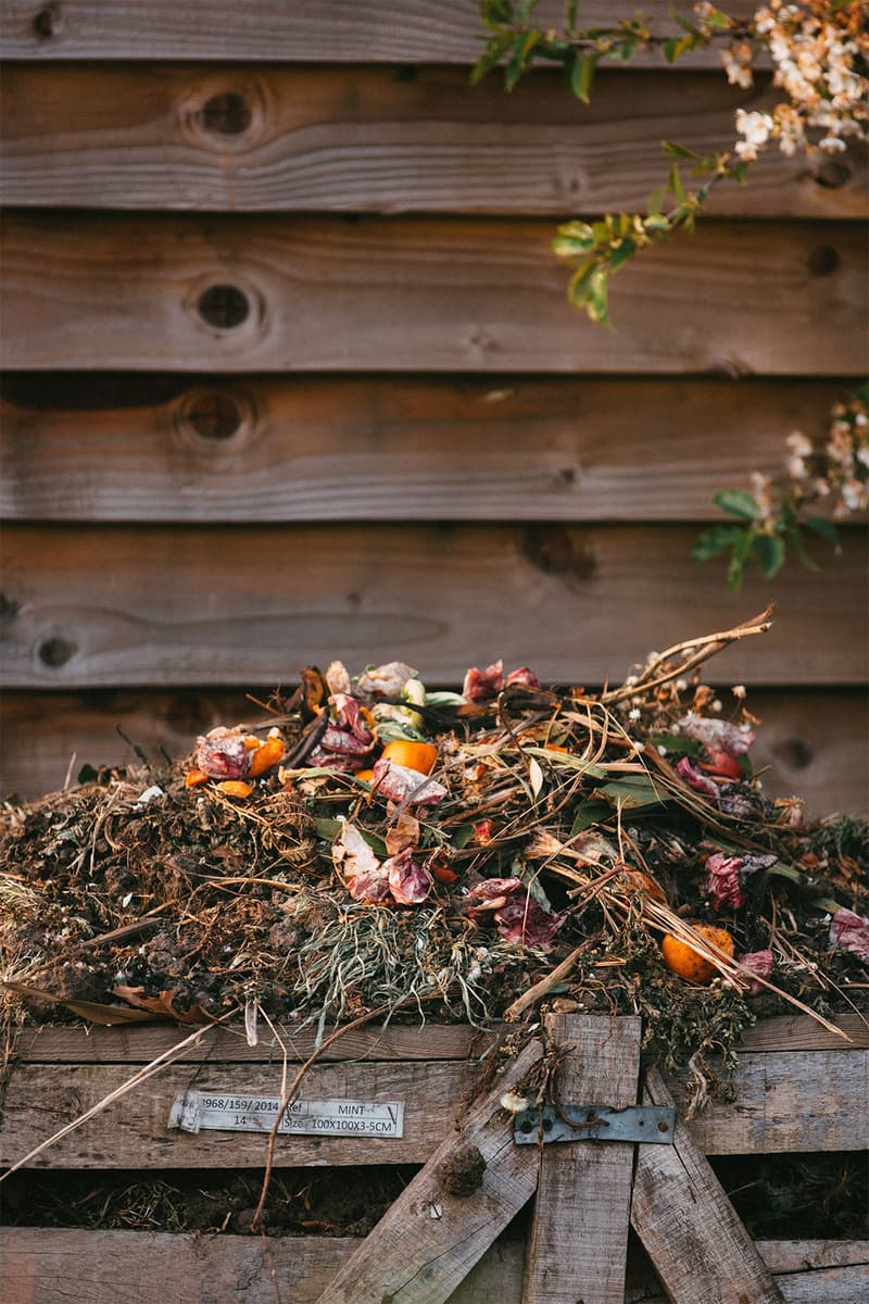 composting eco-friendly sustainable food waste leaves