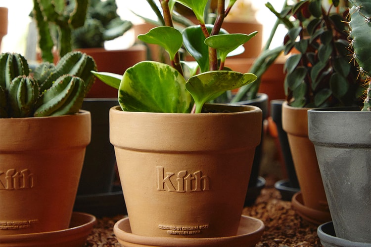 Original Rose x KITH Celebrate Earth Day With Collaborative Planters