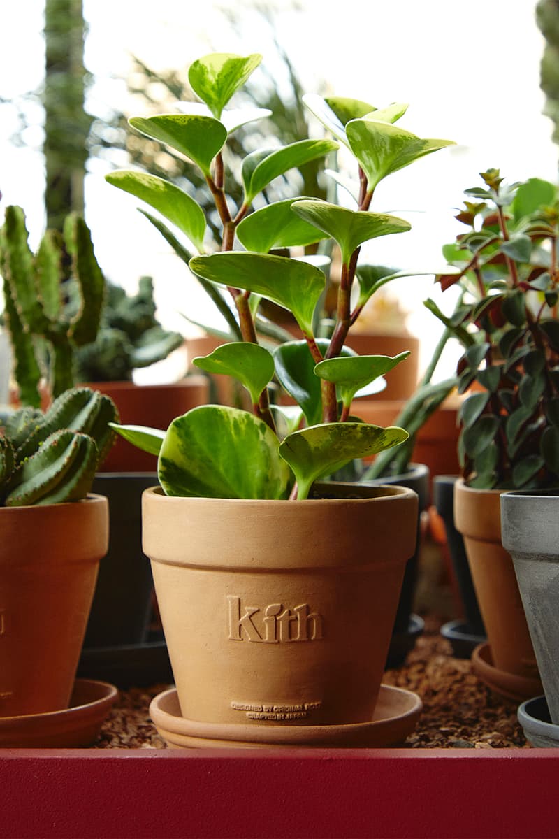 kith original rose planters saucers earth day collaboration earthenware pottery