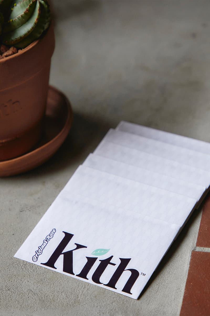 kith original rose planters saucers earth day collaboration earthenware pottery