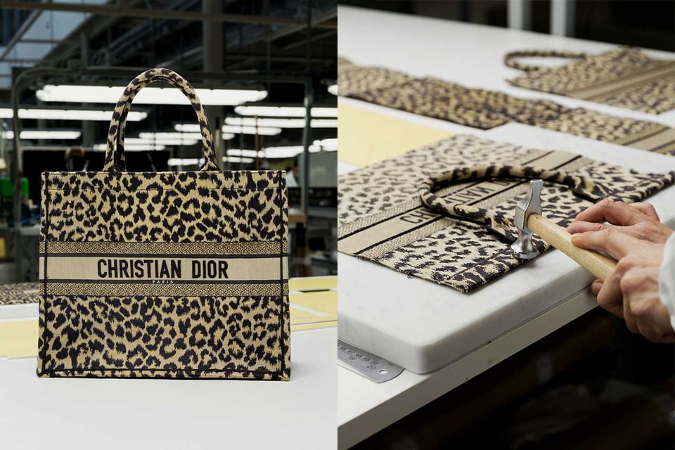 All About the Christian Dior Oblique Book Tote and How to