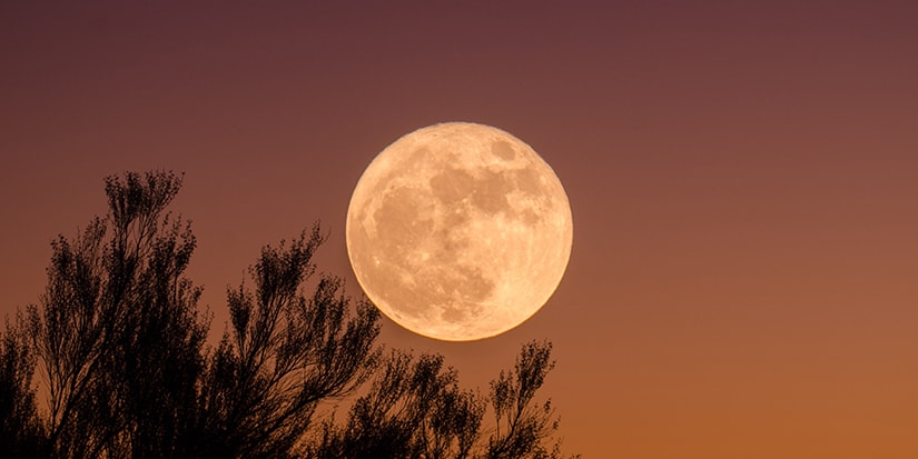 How May Full Blood Moon Affects Your Zodiac Sign | HYPEBAE
