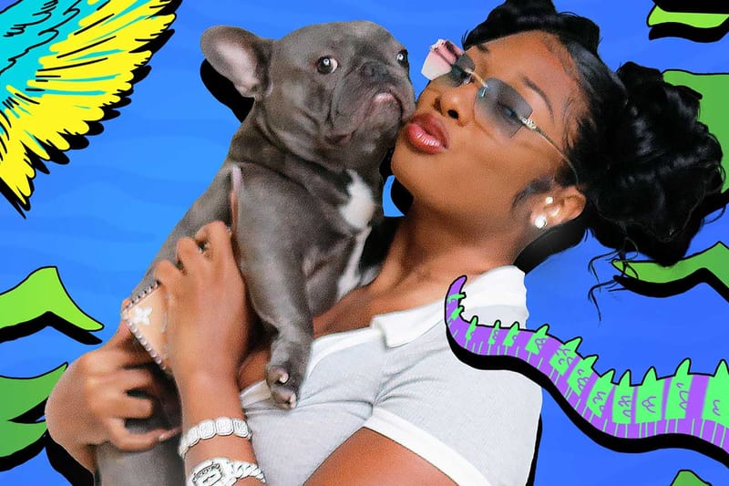 Megan Thee Stallion To Host a Pet Show Exclusively on Snapchat