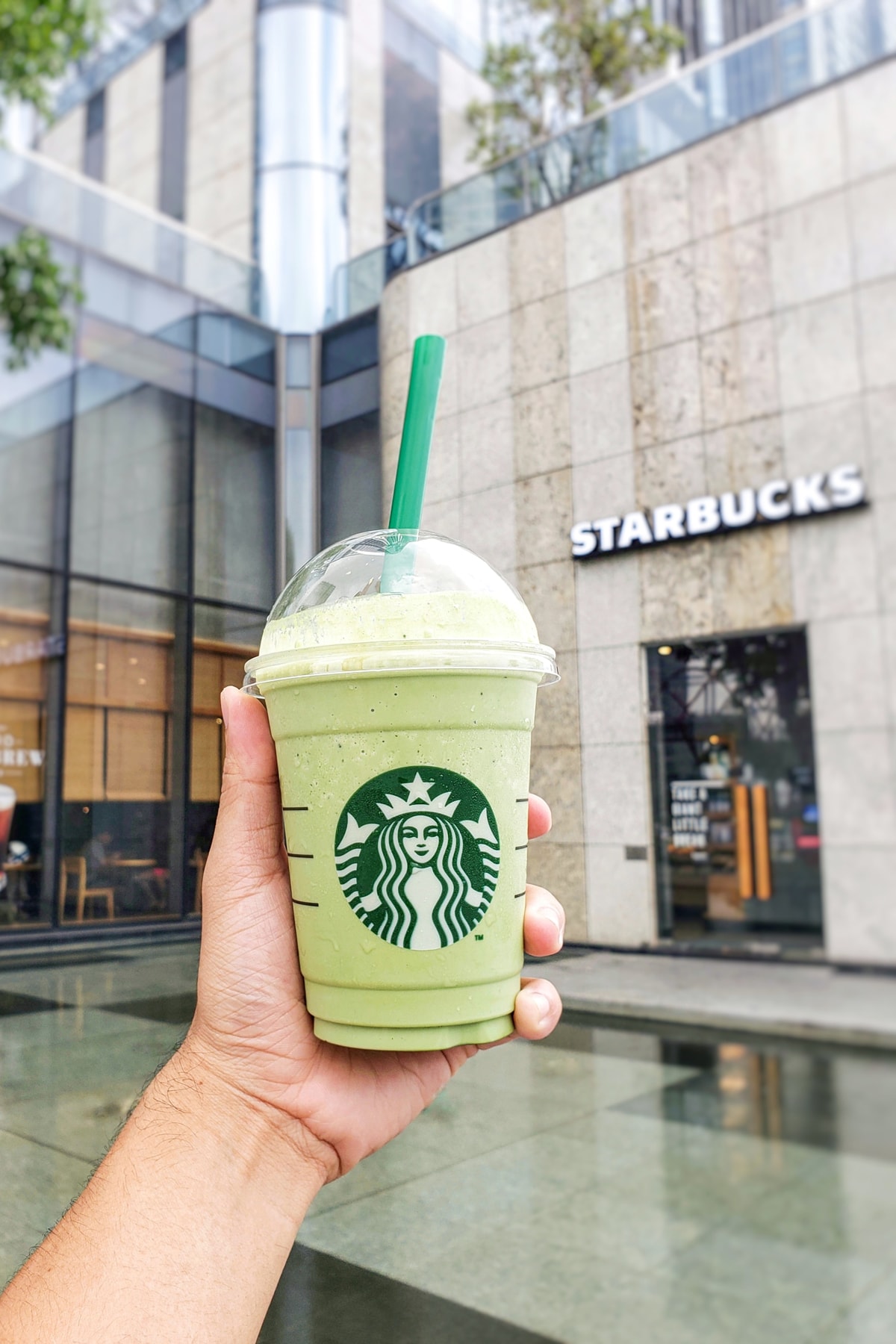 Starbucks Drink Frappuccino Green