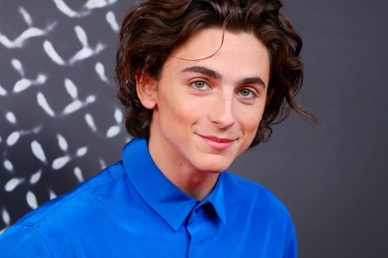 Timothée Chalamet Confirmed To Play Willy Wonka in Upcoming Origin Movie